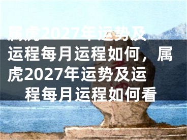 属虎2027年运势及运程每月运程如何，属虎2027年运势及运程每月运程如何看
