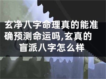 玄净八字命理真的能准确预测命运吗,玄真的盲派八字怎么样