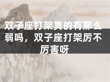 双子座打架真的有那么弱吗,双子座打架厉不厉害呀