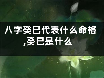八字癸巳代表什么命格,癸巳是什么