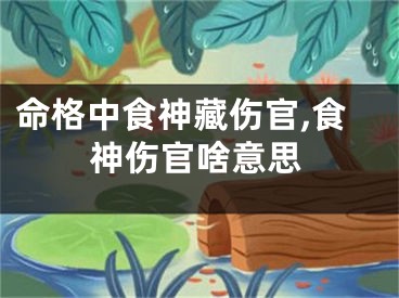 命格中食神藏伤官,食神伤官啥意思