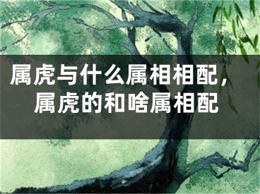 属虎与什么属相相配,属虎的和啥属相配