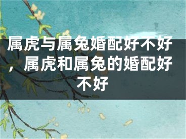 属虎与属兔婚配好不好,属虎和属兔的婚配好不好