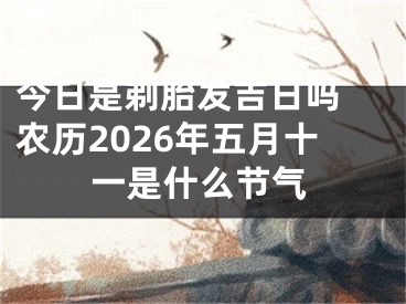 今日是剃胎发吉日吗 农历2026年五月十一是什么节气