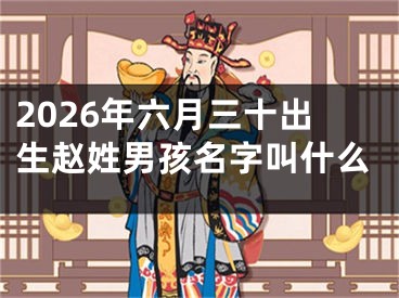 2026年六月三十出生赵姓男孩名字叫什么