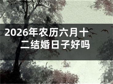 2026年农历六月十二结婚日子好吗