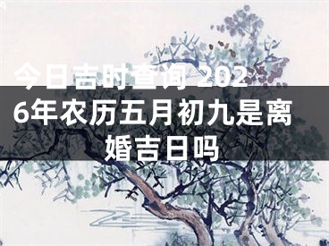 今日吉时查询 2026年农历五月初九是离婚吉日吗
