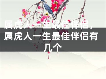 属虎人一生最佳伴侣，属虎人一生最佳伴侣有几个