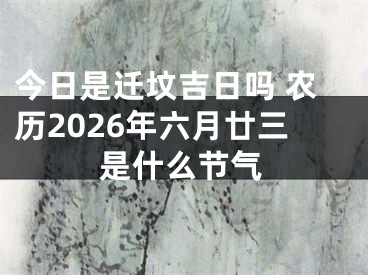 今日是迁坟吉日吗 农历2026年六月廿三是什么节气