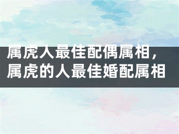 属虎人最佳配偶属相,属虎的人最佳婚配属相