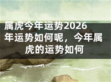 属虎今年运势2026年运势如何呢,今年属虎的运势如何