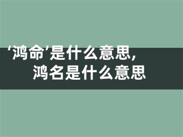 ‘鸿命’是什么意思,鸿名是什么意思
