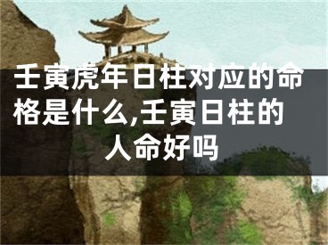 壬寅虎年日柱对应的命格是什么,壬寅日柱的人命好吗