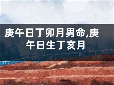 庚午日丁卯月男命,庚午日生丁亥月
