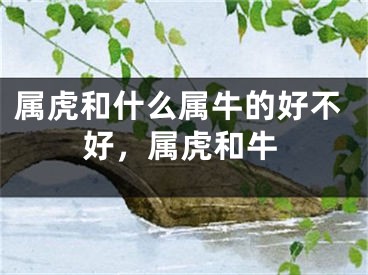 属虎和什么属牛的好不好,属虎和牛