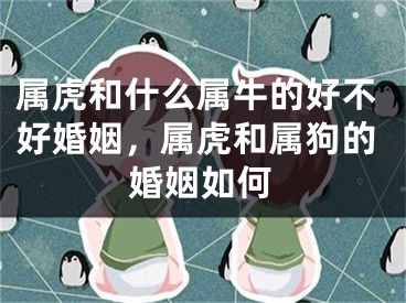 属虎和什么属牛的好不好婚姻,属虎和属狗的婚姻如何