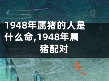 1948年属猪的人是什么命,1948年属猪配对