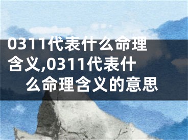 0311代表什么命理含义,0311代表什么命理含义的意思
