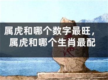 属虎和哪个数字最旺,属虎和哪个生肖最配