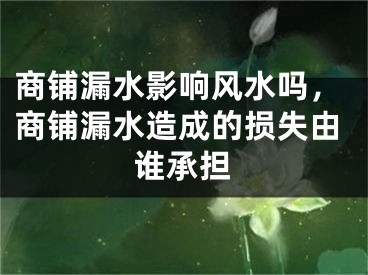 商铺漏水影响风水吗，商铺漏水造成的损失由谁承担