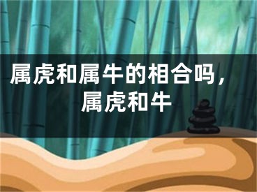 属虎和属牛的相合吗,属虎和牛