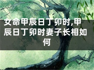 女命甲辰日丁卯时,甲辰日丁卯时妻子长相如何