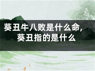 葵丑牛八败是什么命,葵丑指的是什么