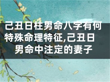 己丑日柱男命八字有何特殊命理特征,己丑日男命中注定的妻子