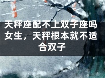 天秤座配不上双子座吗女生，天秤根本就不适合双子
