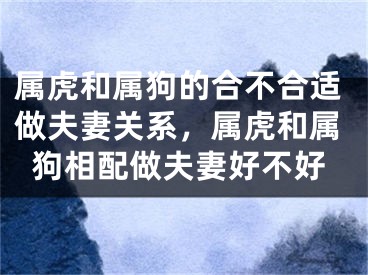 属虎和属狗的合不合适做夫妻关系,属虎和属狗相配做夫妻好不好