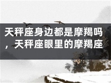 天秤座身边都是摩羯吗，天秤座眼里的摩羯座