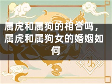 属虎和属狗的相合吗,属虎和属狗女的婚姻如何