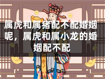 属虎和属猪配不配婚姻呢,属虎和属小龙的婚姻配不配