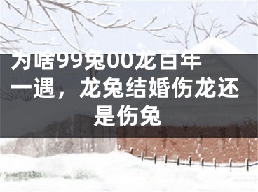 为啥99兔00龙百年一遇，龙兔结婚伤龙还是伤兔