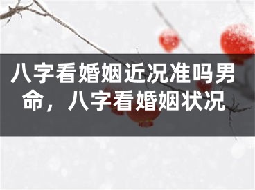 八字看婚姻近况准吗男命，八字看婚姻状况
