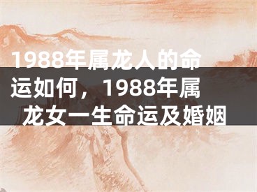 1988年属龙人的命运如何，1988年属龙女一生命运及婚姻