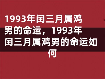 1993年闰三月属鸡男的命运，1993年闰三月属鸡男的命运如何