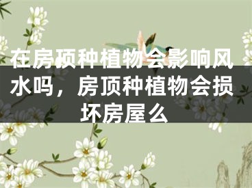 在房顶种植物会影响风水吗，房顶种植物会损坏房屋么