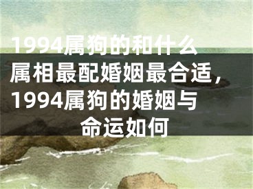1994属狗的和什么属相最配婚姻最合适，1994属狗的婚姻与命运如何
