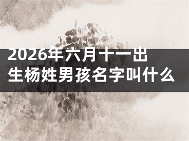 2026年六月十一出生杨姓男孩名字叫什么