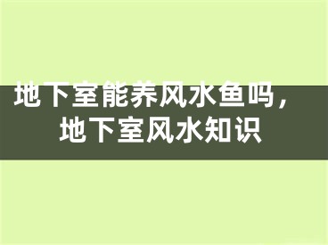 地下室能养风水鱼吗,地下室风水知识