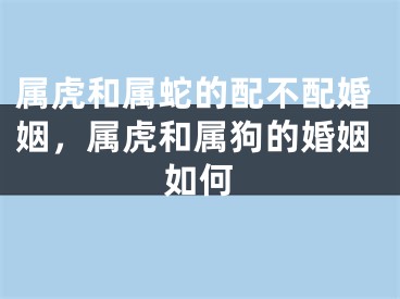 属虎和属蛇的配不配婚姻,属虎和属狗的婚姻如何