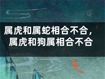属虎和属蛇相合不合,属虎和狗属相合不合
