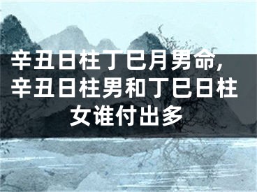 辛丑日柱丁巳月男命,辛丑日柱男和丁巳日柱女谁付出多