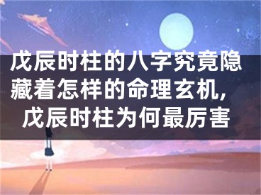 戊辰时柱的八字究竟隐藏着怎样的命理玄机,戊辰时柱为何最厉害