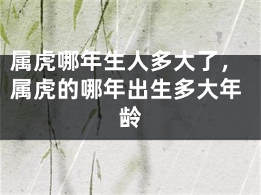 属虎哪年生人多大了,属虎的哪年出生多大年龄