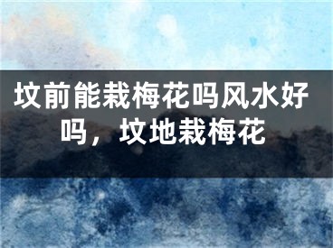 坟前能栽梅花吗风水好吗，坟地栽梅花