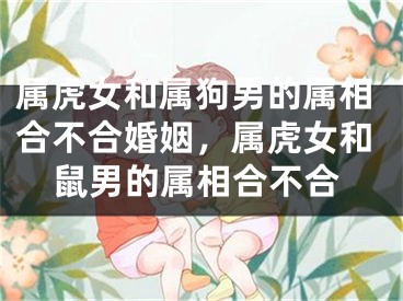 属虎女和属狗男的属相合不合婚姻,属虎女和鼠男的属相合不合