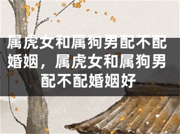 属虎女和属狗男配不配婚姻，属虎女和属狗男配不配婚姻好