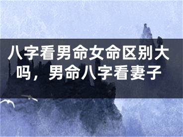 八字看男命女命区别大吗,男命八字看妻子